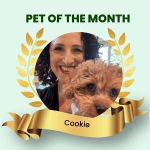 Pet Of The Month April 2023 - Rae Cairns