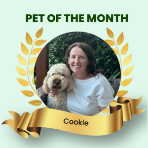 Pet of thee Month May 2023 - Ber Carroll