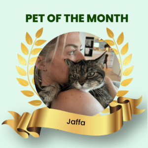 Pet of the Month - November 2023 Ali Lowe