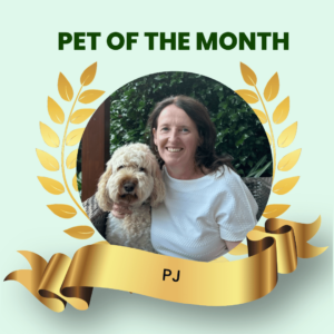 Pet of thee Month May 2023 - Ber Carroll and PJ